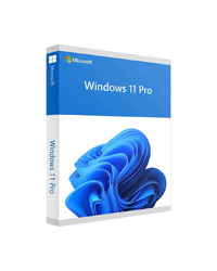 DSP Win 11 Pro Eng 64-bit FQC-10528